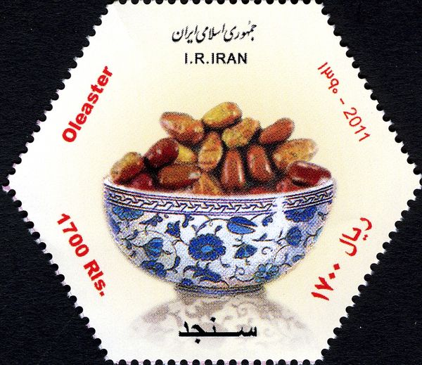 Religions & beliefs (Islam)