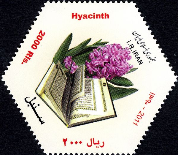 Religions & beliefs (Islam)
