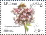 Origanum majorana