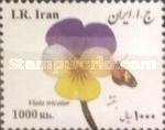 Viola tricolor