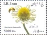 Chamomile (Matricaria chamomilla)