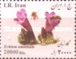Iranian Borage (Echium amoenum) horizontal