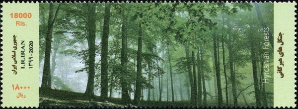 Hyrcanian Forest