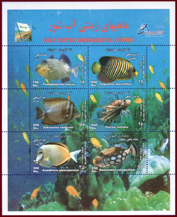 Salt Water Ornamental Fish