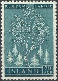 Re-forest: Silver birch (Betula pendula) and spruces