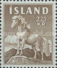 Icelandic Horse (Equus ferus caballus)
