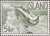 Atlantic Salmon (Salmo salar)