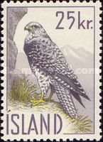 Gyrfalcon (Falco rusticolus)