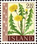 Dandelion