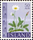 Eight-petal dryas