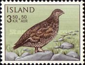 Rock Ptarmigan (Lagopus mutus) - Summer