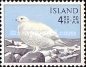 Rock Ptarmigan (Lagopus mutus) - Winter