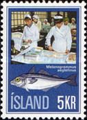 Haddock (Melanogrammus aeglefinus)