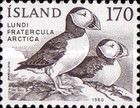 Atlantic Puffin (Fratercula arctica)
