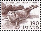 Harbor Seal (Phoca vitulina)