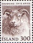 Domestic Sheep (Ovis ammon aries)