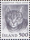 Domestic Cat (Felis silvestris catus)