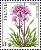 Alpine Catchfly (Lychnis alpina)