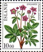Marsh Cinquefoil (Potentilla palustris)