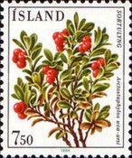 Bearberry (Arctostaphylos uva-ursi)