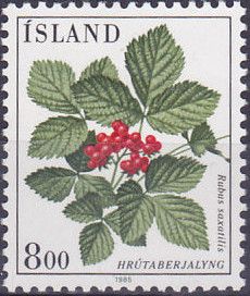 Rubus saxatilis