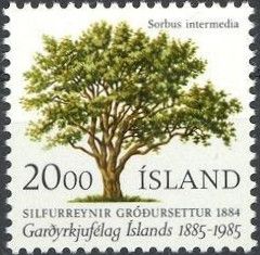 Icelandic Horticultural society, centenary
