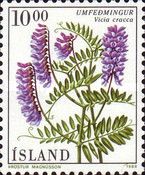Tufted vetch (Vicia cracca)