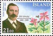 Stefan Stefansson & Chamerion latifolium