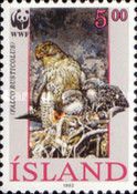 Gyrfalcon (Falco rusticolus)