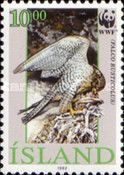 Gyrfalcon (Falco rusticolus)
