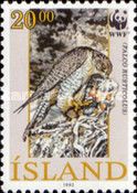 Gyrfalcon (Falco rusticolus)
