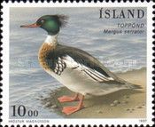 Red-breasted Merganser (Mergus serrator)