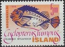 Lumpsucker (Cyclopterus lumpus)