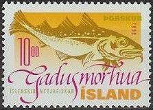 Cod (Gadus morrhua)