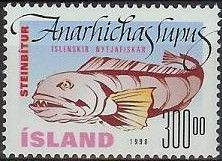 Atlantic Wolffish (Anarhichas lupus)