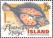 European Plaice (Pleuronectes platessa)
