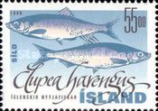 Atlantic Herring (Clupea harengus)