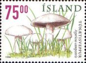 Mushrooms (Agaricus campestris)