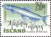 Capelin (Mallotus villosus)