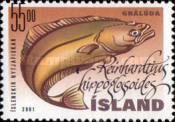 Greenland Halibut (Reinhardtius hippoglossoides)