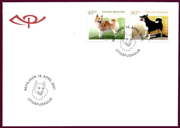 Iceland Dog (Canis lupus familiaris)
