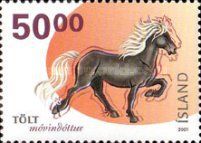 Iceland Horse (Equus ferus caballus)