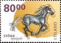 Iceland Horse (Equus ferus caballus)