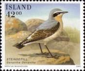 Northern Wheatear (Oenanthe oenanthe)