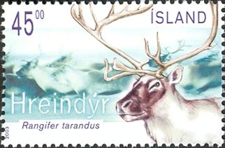 Reindeer (Rangifer tarandus)