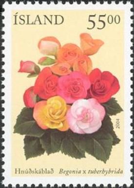 Summer Flowers V - Sunset Shades