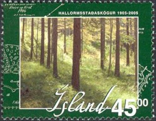 Forestation in Iceland