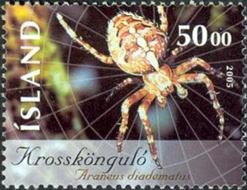 European Garden Spider (Araneus diadematus)