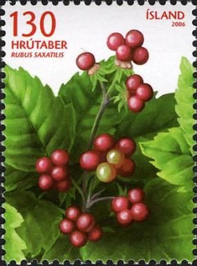 (Rubus saxatilis)
