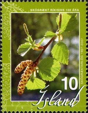 Forest Service 100 years